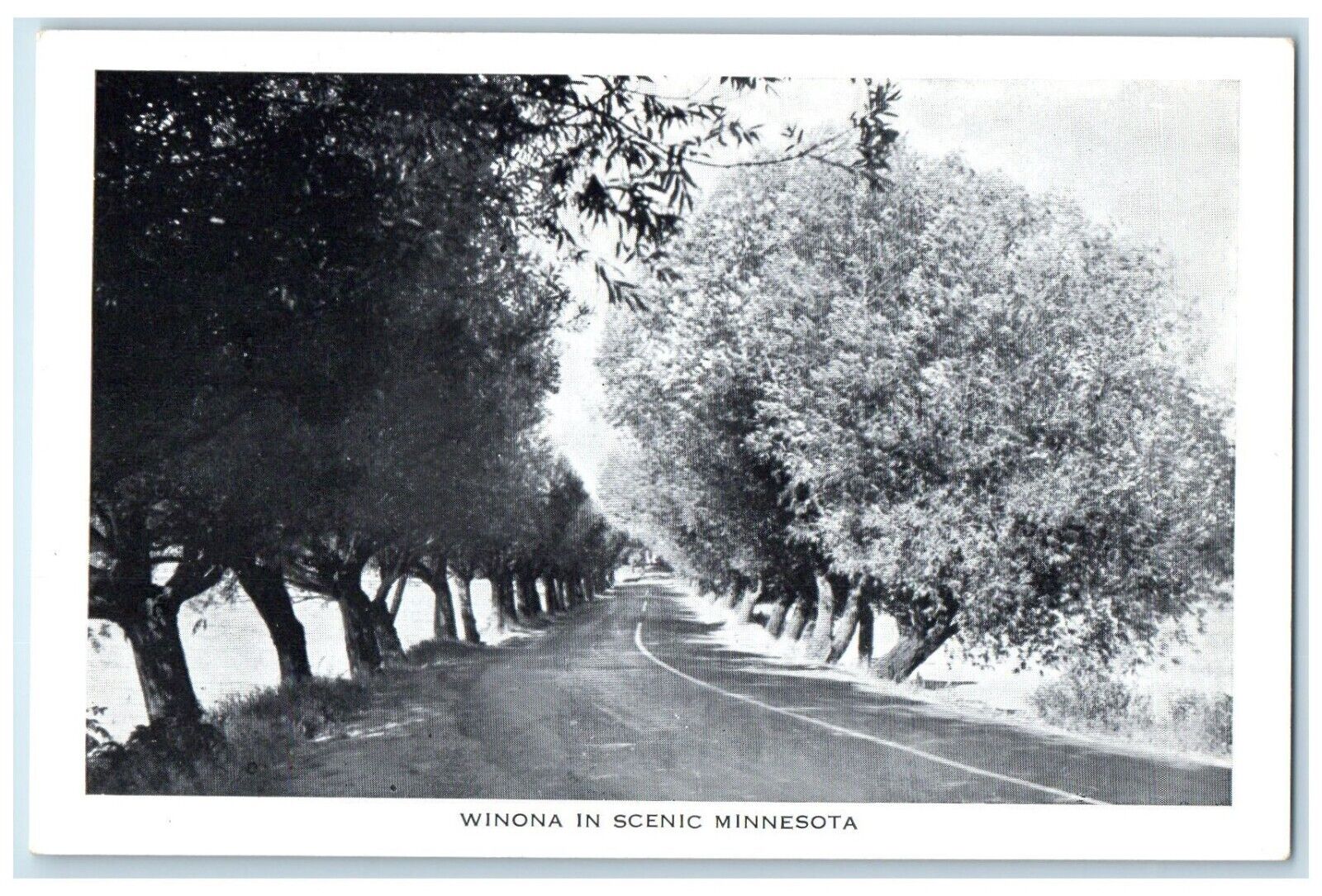 c1930's Winona In Scenic Minnesota MN, Road And Trees Unposted Vintage Postcard