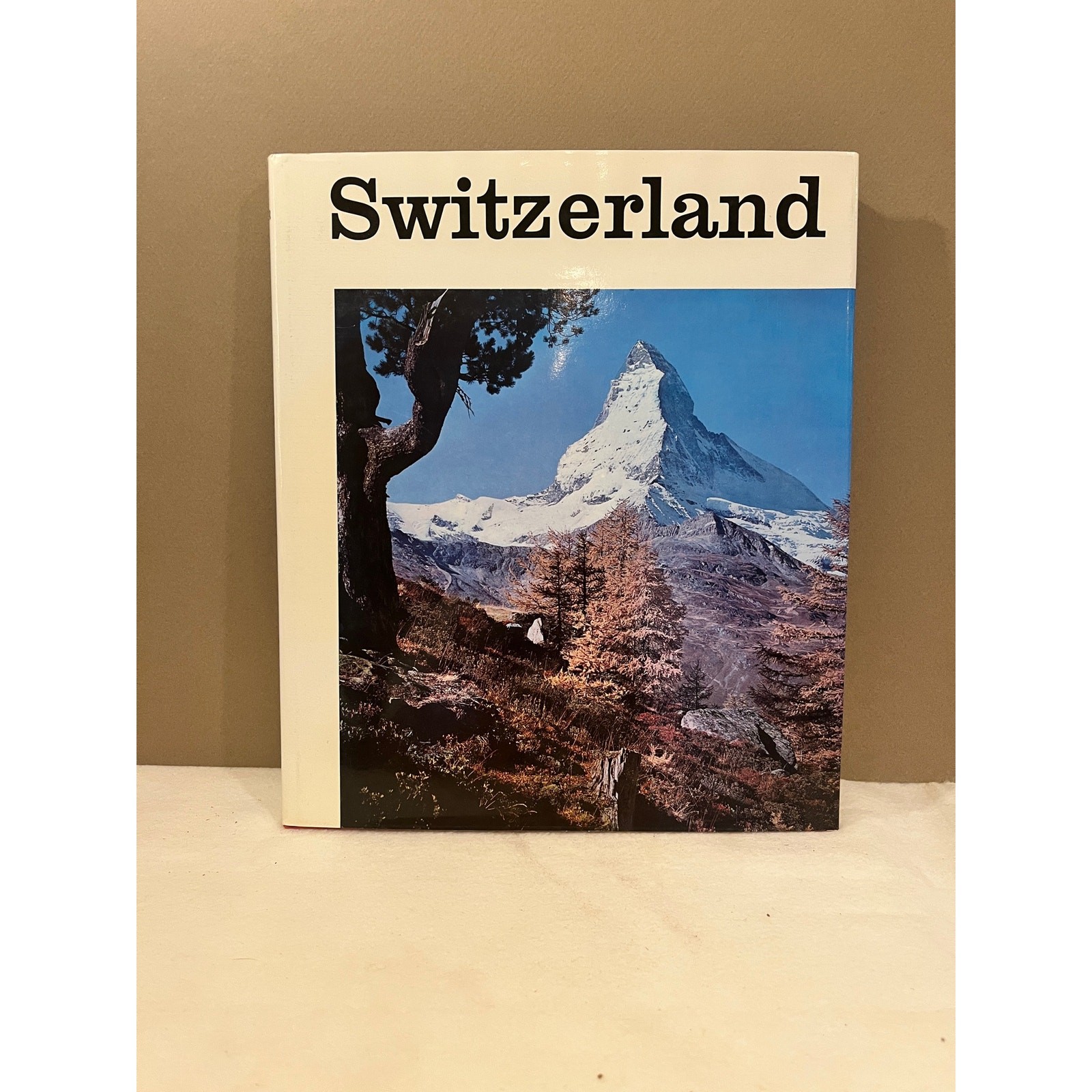 Vintage Switzerland Otto Siegner Hardcover Photo Book Swiss Alps Travel