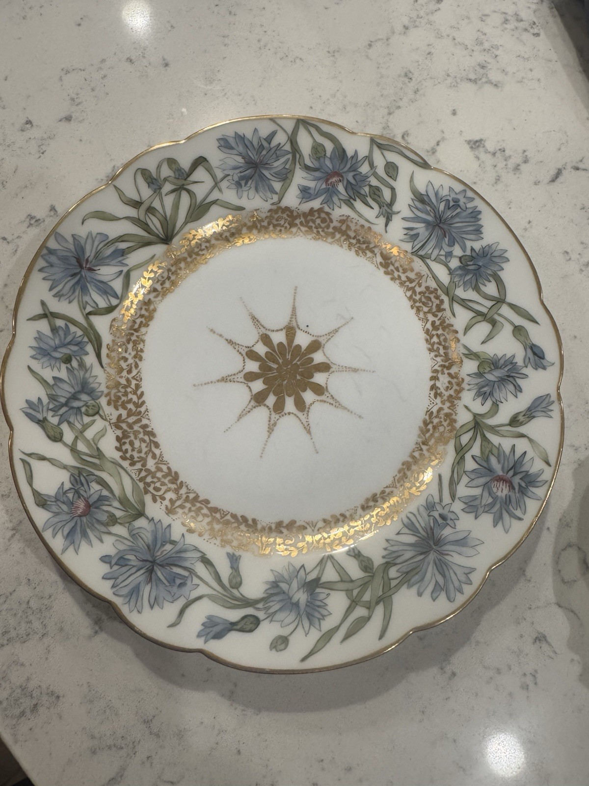 Haviland Limoges France Antique Porcelain Plat Hand-Painted and Signed