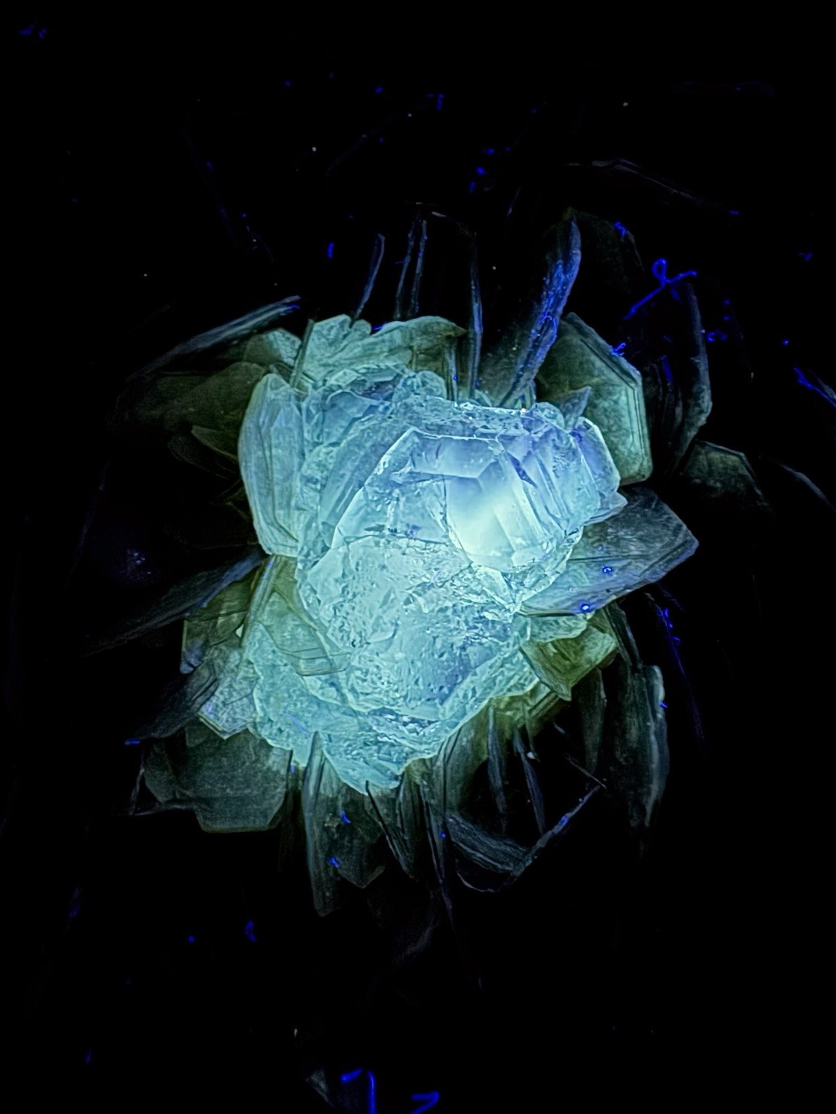 388 GM Beautiful Fluorescent Fully Terminated, Transparent Fluorite Crystal
