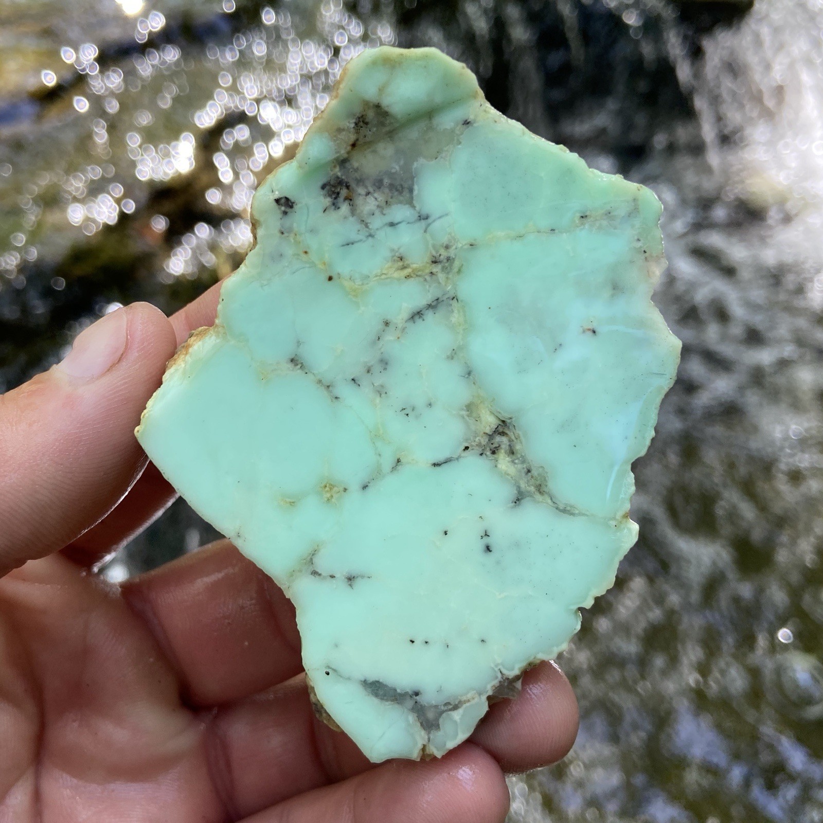 Brilliant Blue Chrysoprase Rough Stone 3.45 Oz
