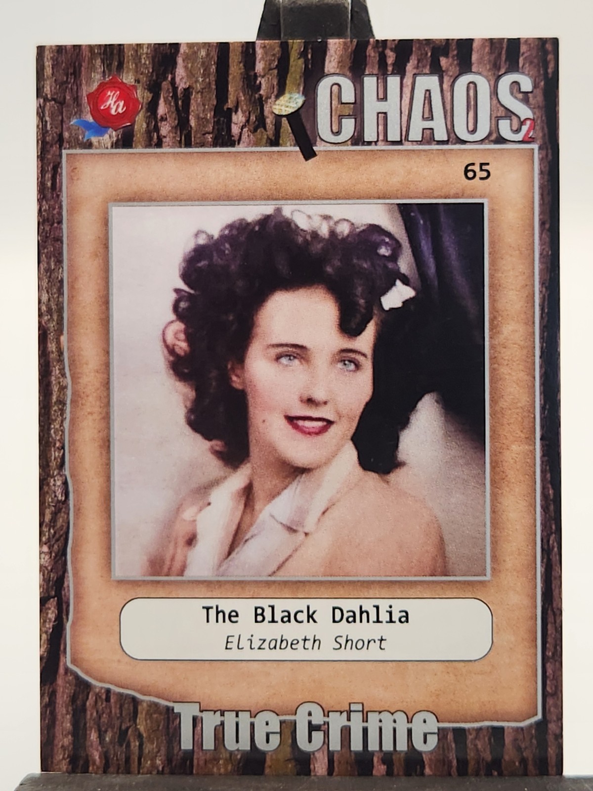 True Crime Elizabeth \