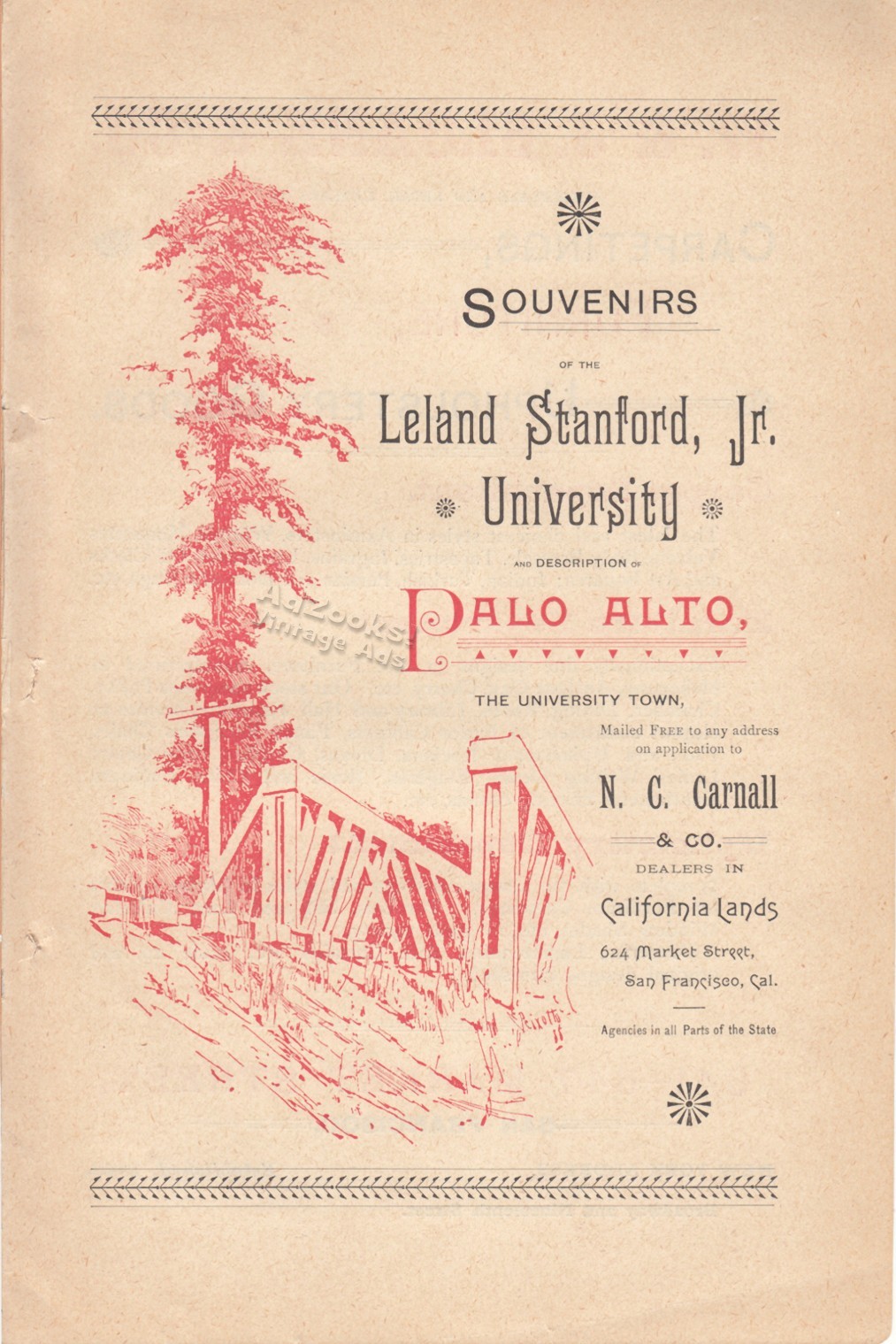 1889 Stanford University & Palo Alto Lands Print Ad – Cool Ernest Peixotto Pix