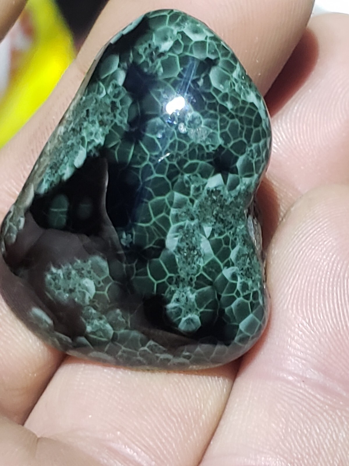 Extremly Rare Museum Size Isle Royal Greenstone Chlorastrolite Over 1 Ounce 29g Extremly Rare Museum Size Isle Royal Greenstone Chlorastrolite Over 1 Ounce 29g