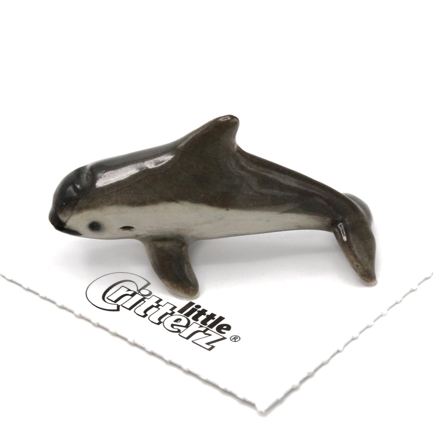 Little Critterz Fish - Vaquita 