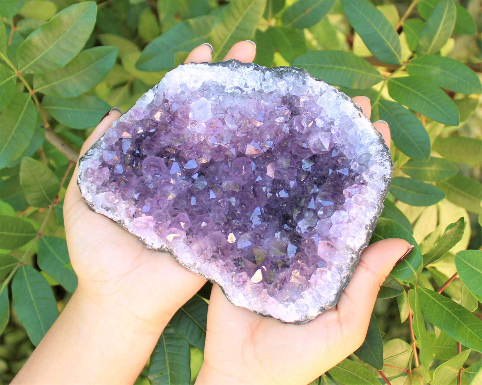 JUMBO Natural Amethyst Crystal Clusters CLEARANCE Quality - Choose Size 