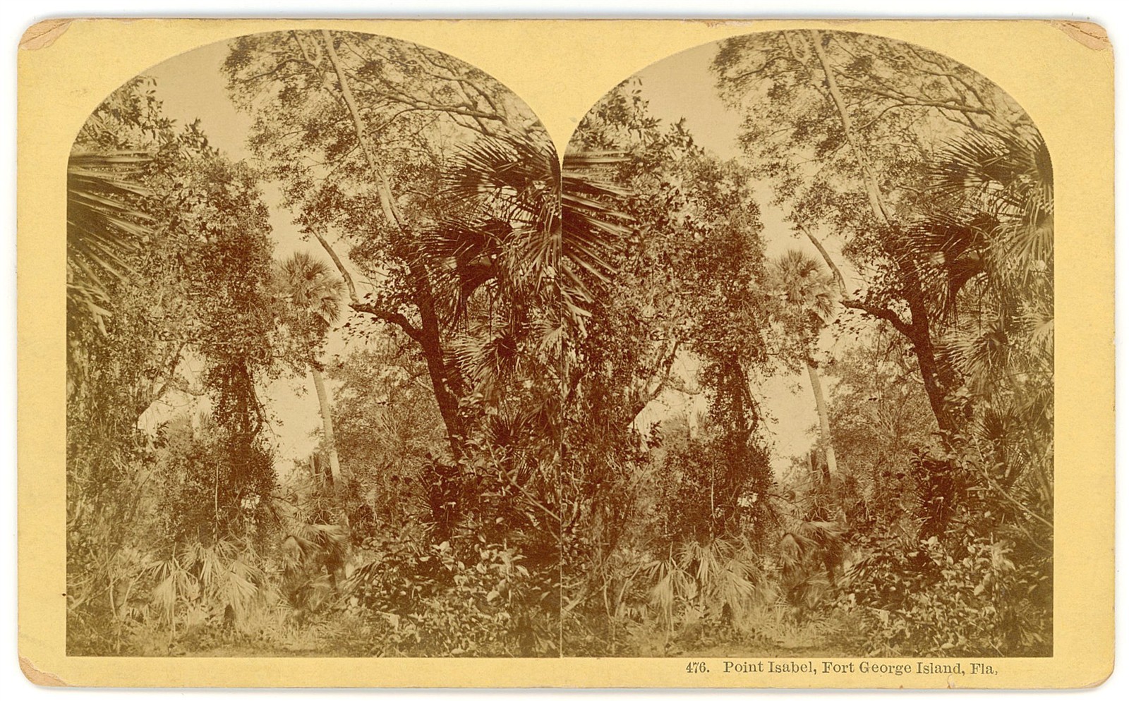 FLORIDA STEREOVIEW - Fort George Island - Point Isabel - BW Kilburn 1880s