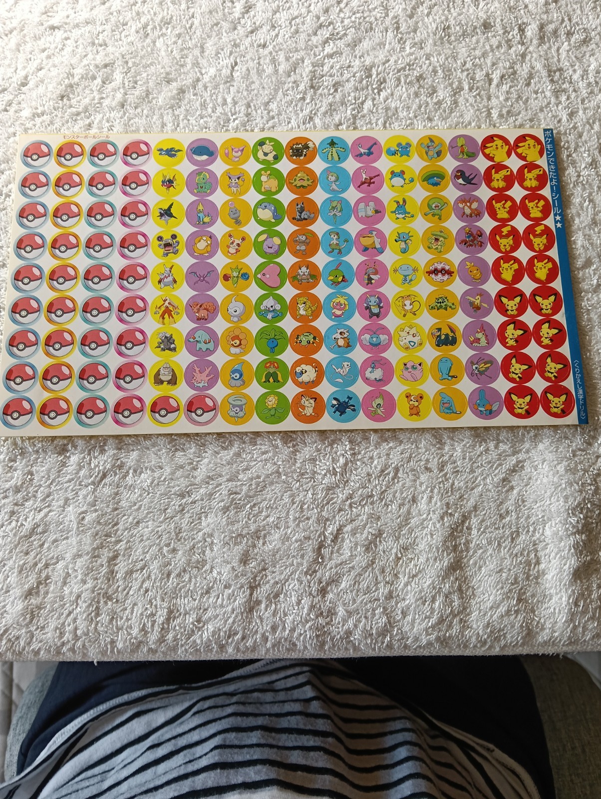 Pokemon Dekitayo Sticker Seal appendix Japanese Nintendo B7189