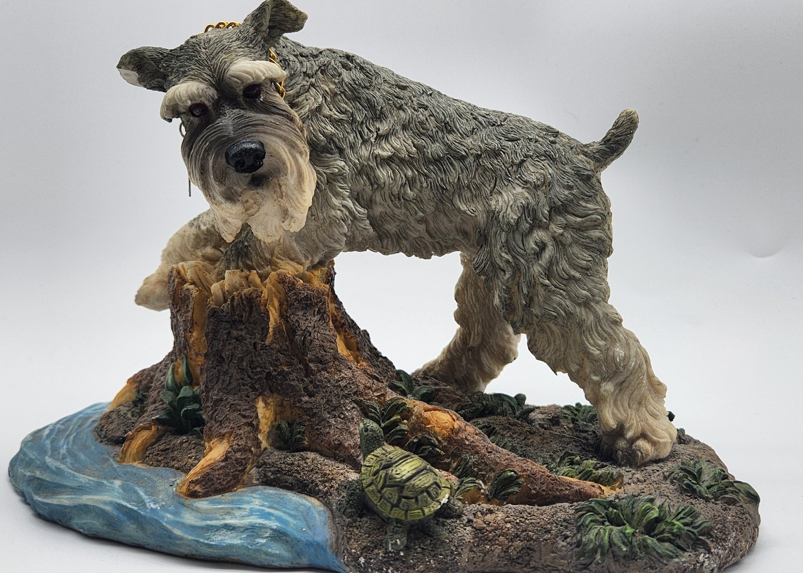 Gray Schnauzer Dog By A Pond And Stump With A Cute Turtle Very 9\