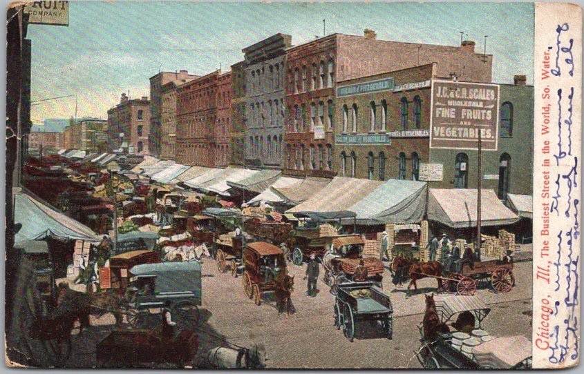 1911 CHICAGO Illinois Postcard SOUTH WATER STREET \