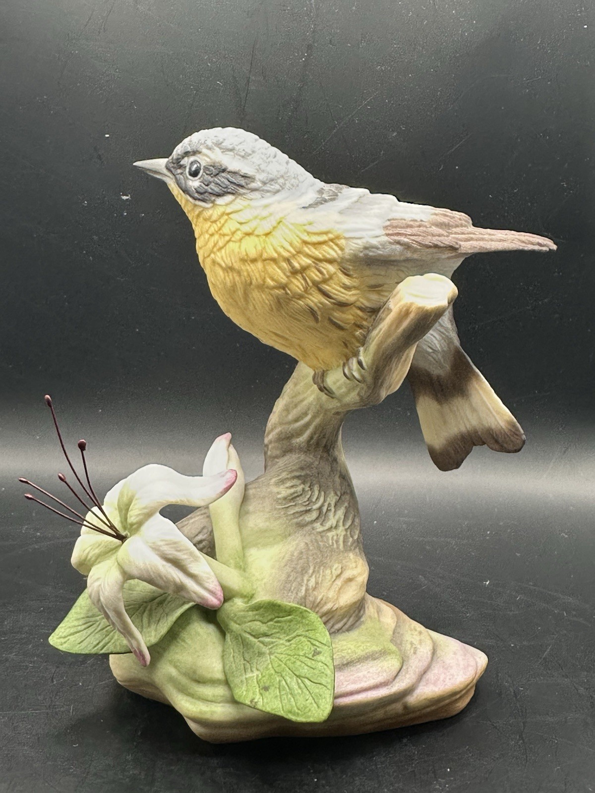 Burgues USA Magnolia Warbler Limited Edition #26 Of 950