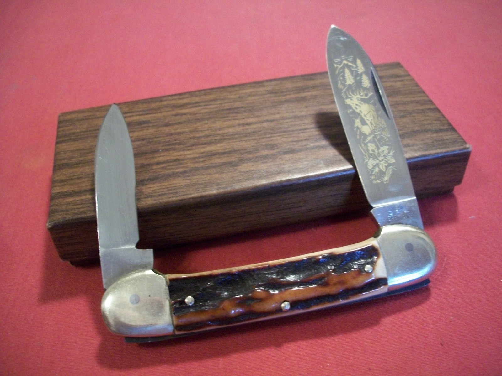 Vintage German Eye Carl Schlieper Canoe Stag Pocket Knife w/ Gold Blade Etch 