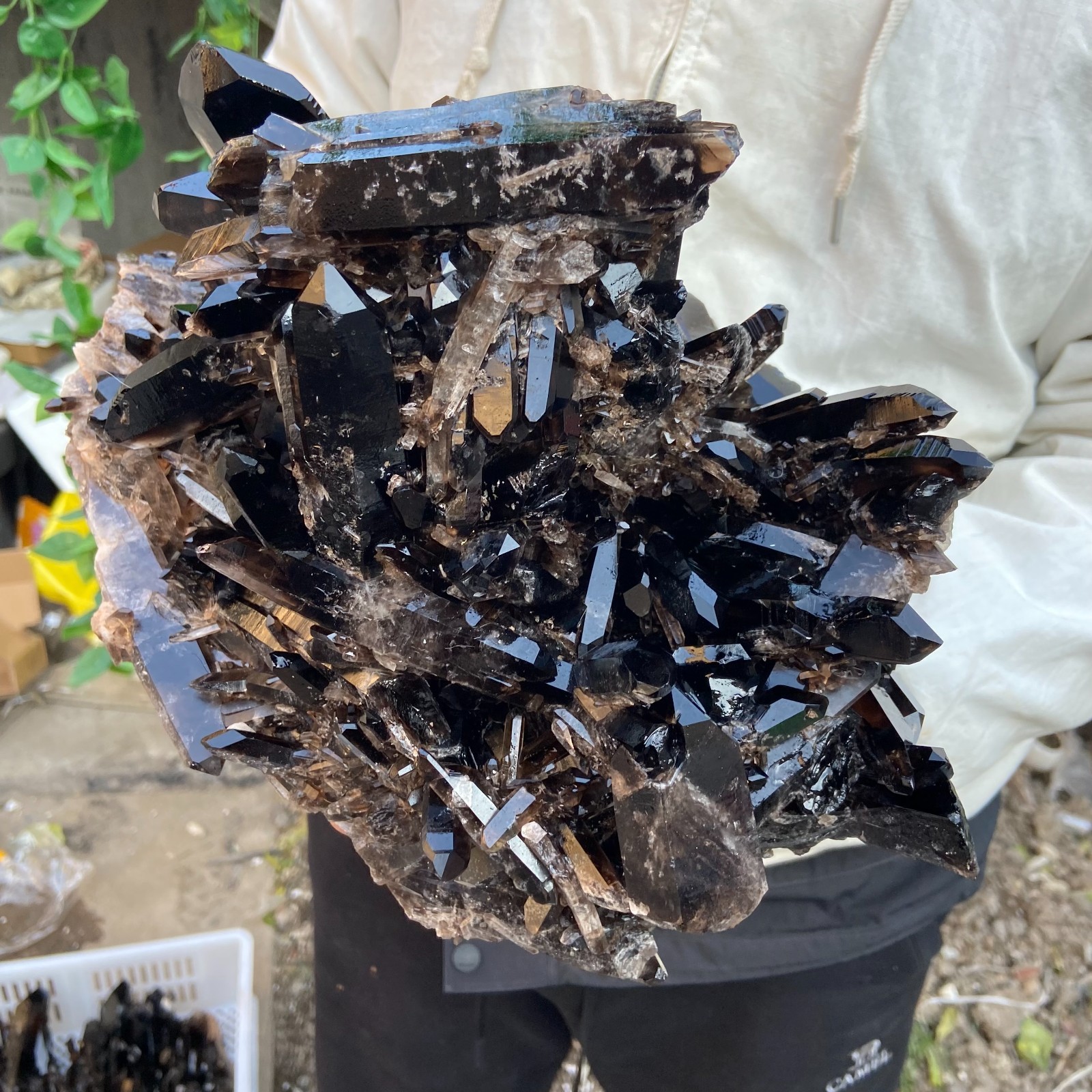 20.5LB Natural Smoky Black Quartz Cluster Crystal raw Specimen Healing