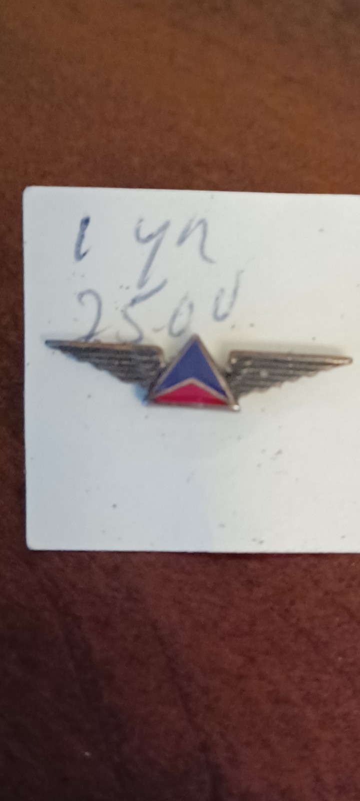 Vtg Delta Airlines Wings Lapel Pin Sterling Silver 1 Year Service Widget Style