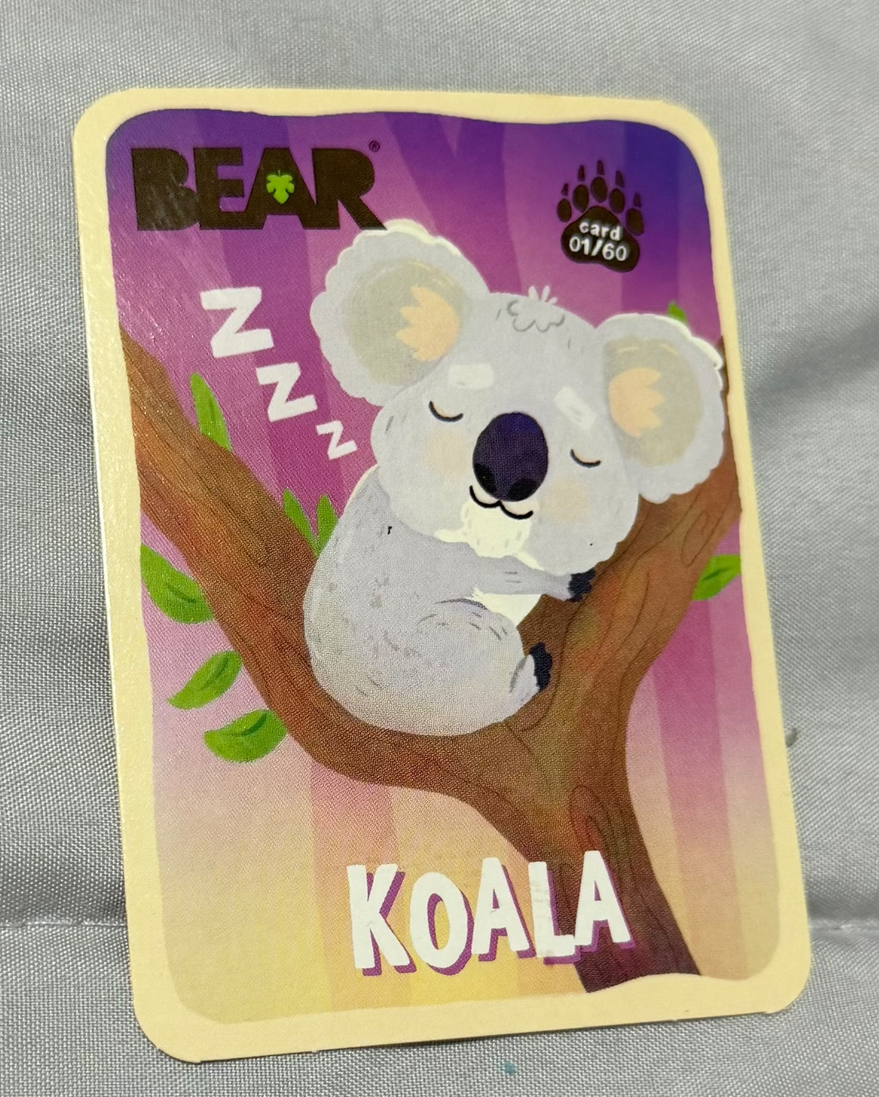 Bear Fruit Snack Cards - Complete Your Set