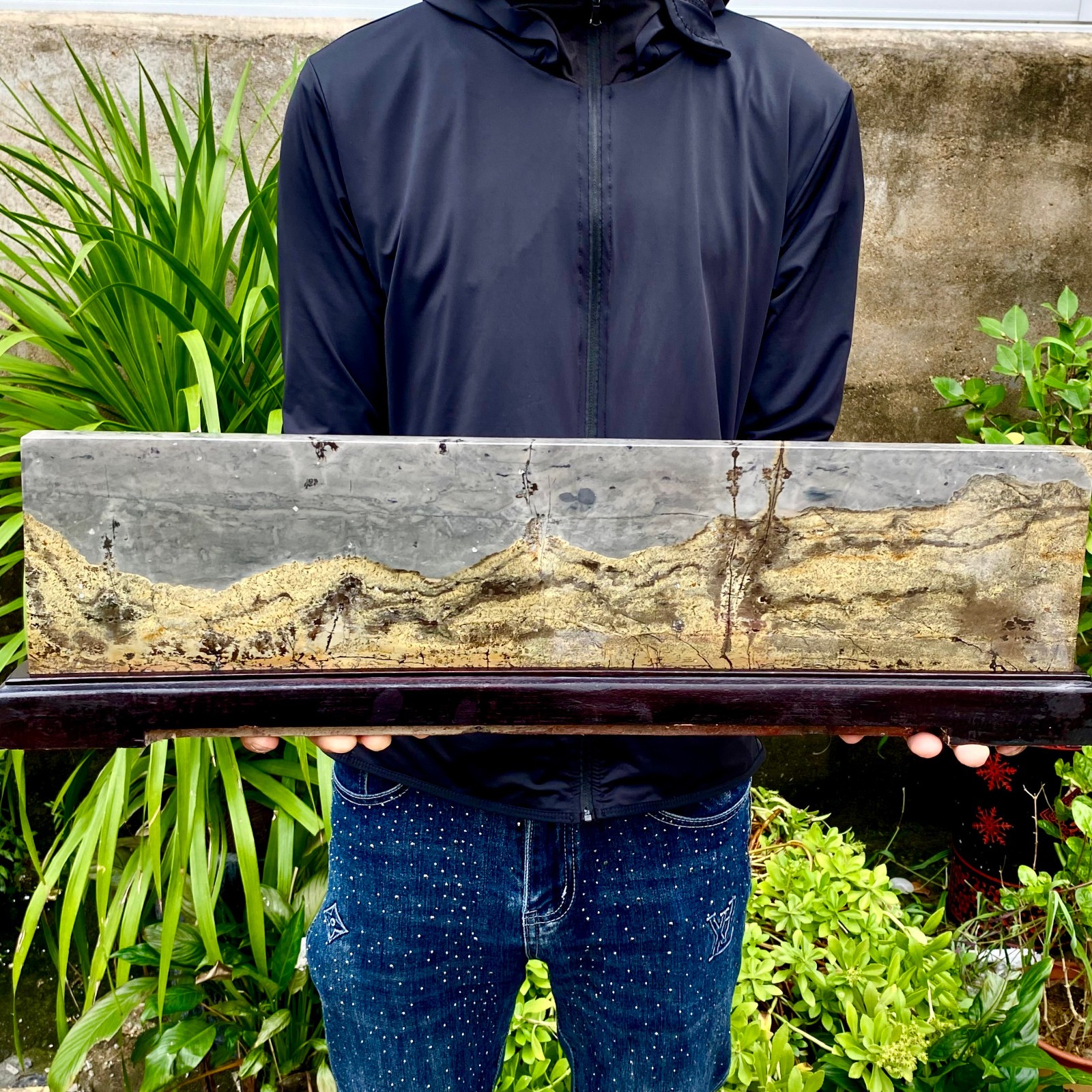 11.24LB Beautiful Natural Chinese Dendritic Limestone Picture Stone Guohua-Rare