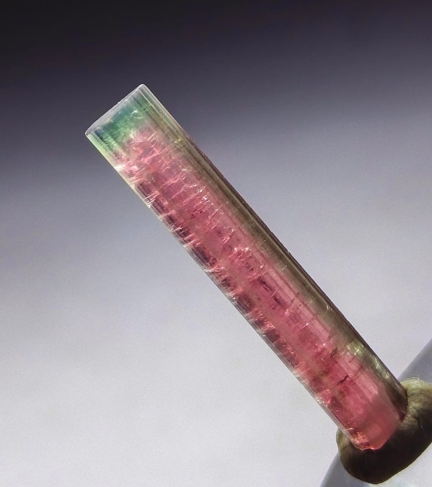 Watermelon Tourmaline Crystal Green Cap Natural Gemstone Mineral Crystals