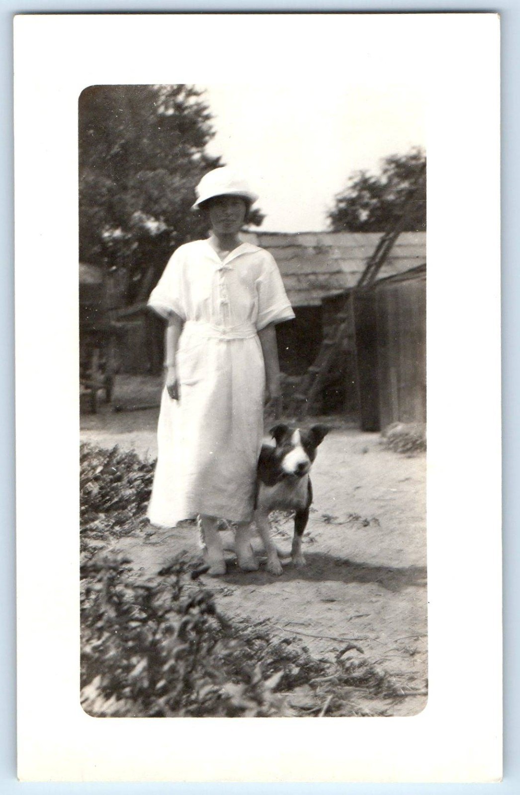 c1910's Woman Dog Japanese Family Kern County California #3 RPPC Photo Postcard