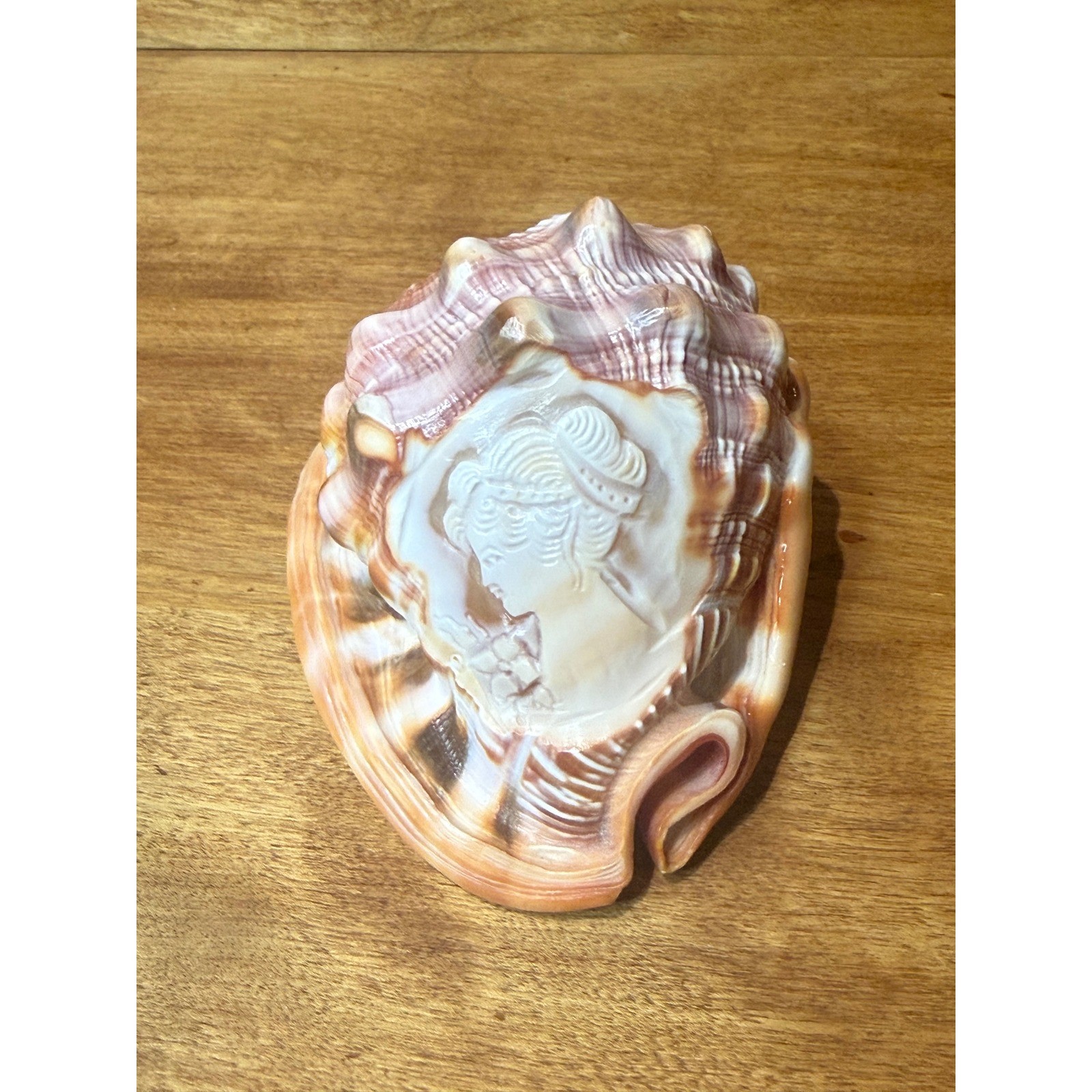 Vintage RARE Hand Carved Conch Shell Cameo Signed Scognamiglio Italian Art 1970