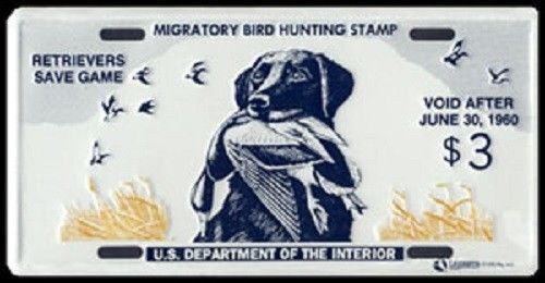 FEDERAL DUCK STAMP LICENSE PLATE \