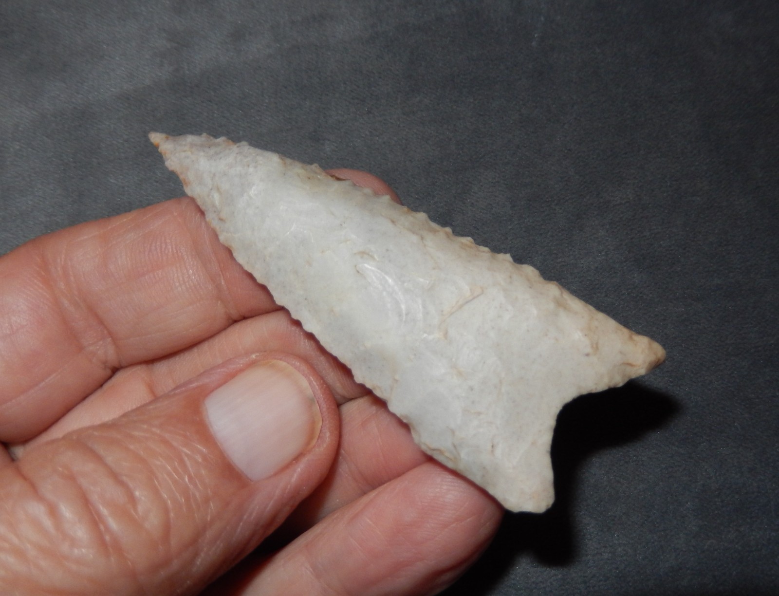 AN AWESOME BEVELED AND SERRATED AUTHENTIC DALTON POINT found IN ILLINOIS N284 AN AWESOME BEVELED AND SERRATED AUTHENTIC DALTON POINT found IN ILLINOIS N284