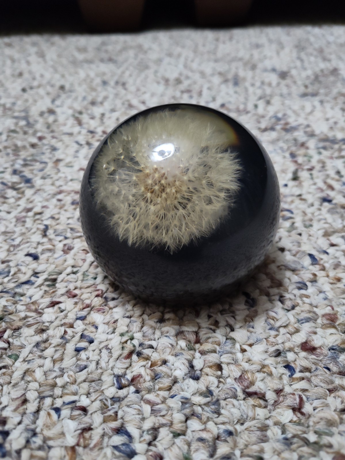 Vintage 70s Lucite Paperweight Dome Embedded Dandelion Puff Black and Clear