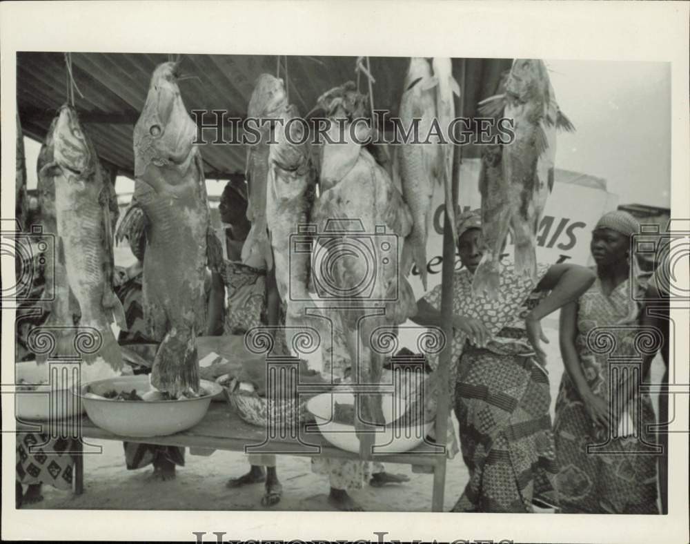 1961 Press Photo Housewives survey fresh fish caught in the nearby Congo River 1961 Press Photo Housewives survey fresh fish caught in the nearby Congo River