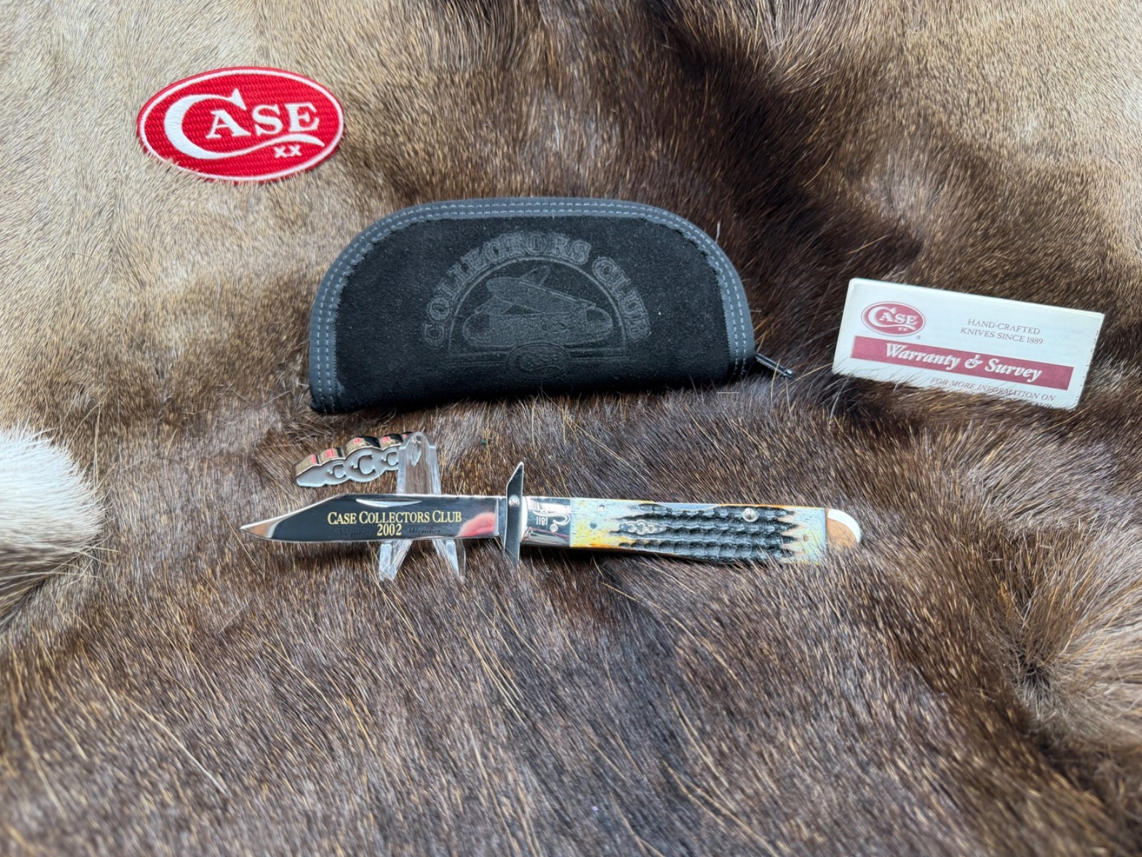 Case 2002 Collectors Club Cheetah Knife Moss Bone Handles Mint In Box SN# 1811++