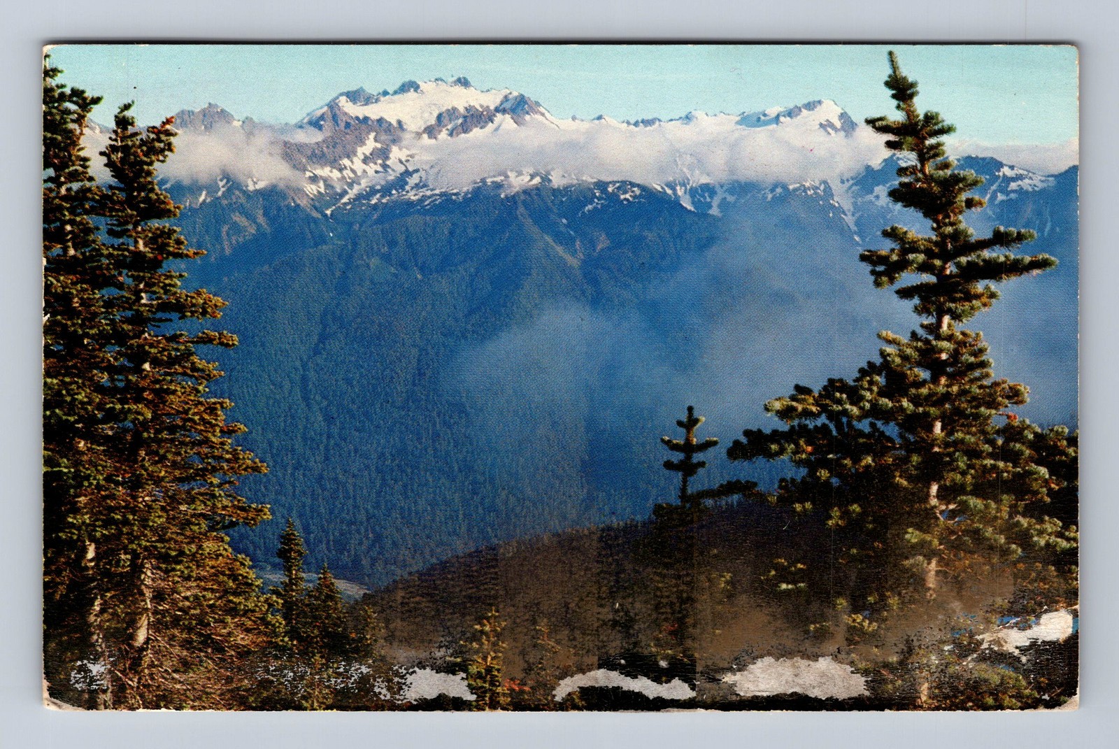 Mount Olympus WA-Washington Olympic National Park Vintage c1956 Postcard