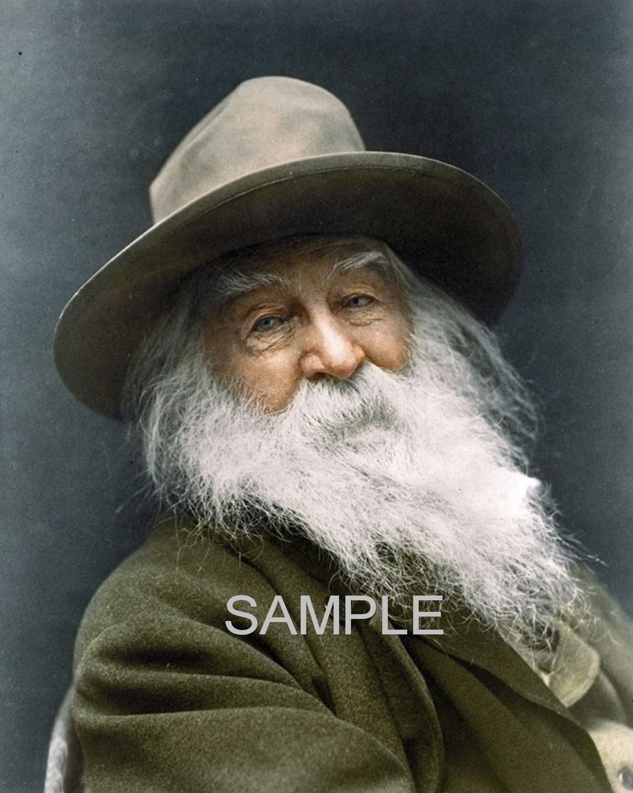 1887 American Poet WALT WHITMAN Photo  (161-U)