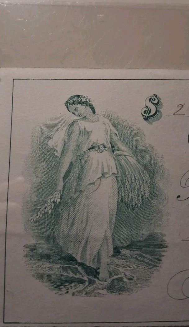 🌙SLING\'S🪙Vintage 1879 $248 Boston Massachusetts First Ward National Bank Check