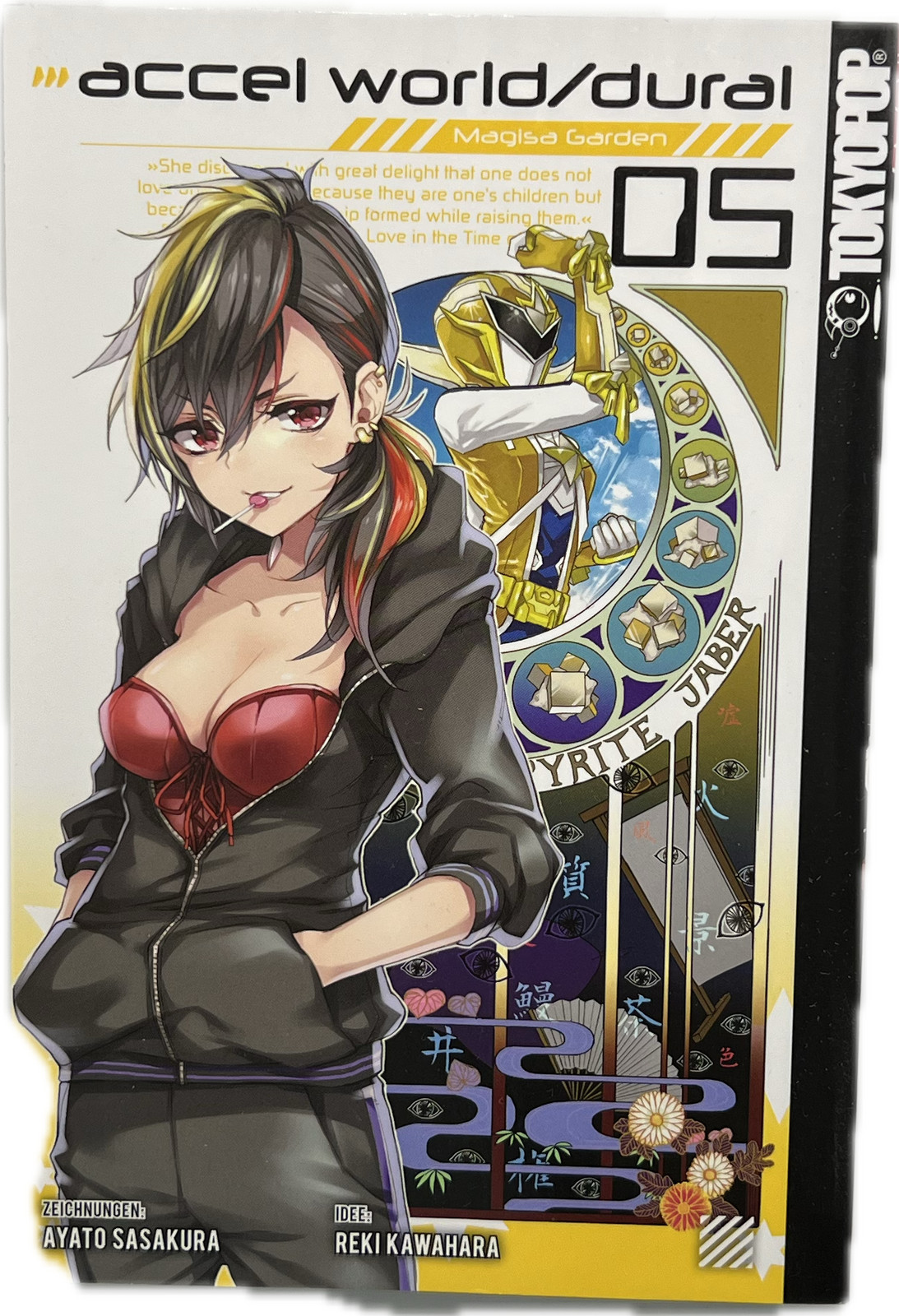 Accel World Dural Magisa Garden 5 Manga German