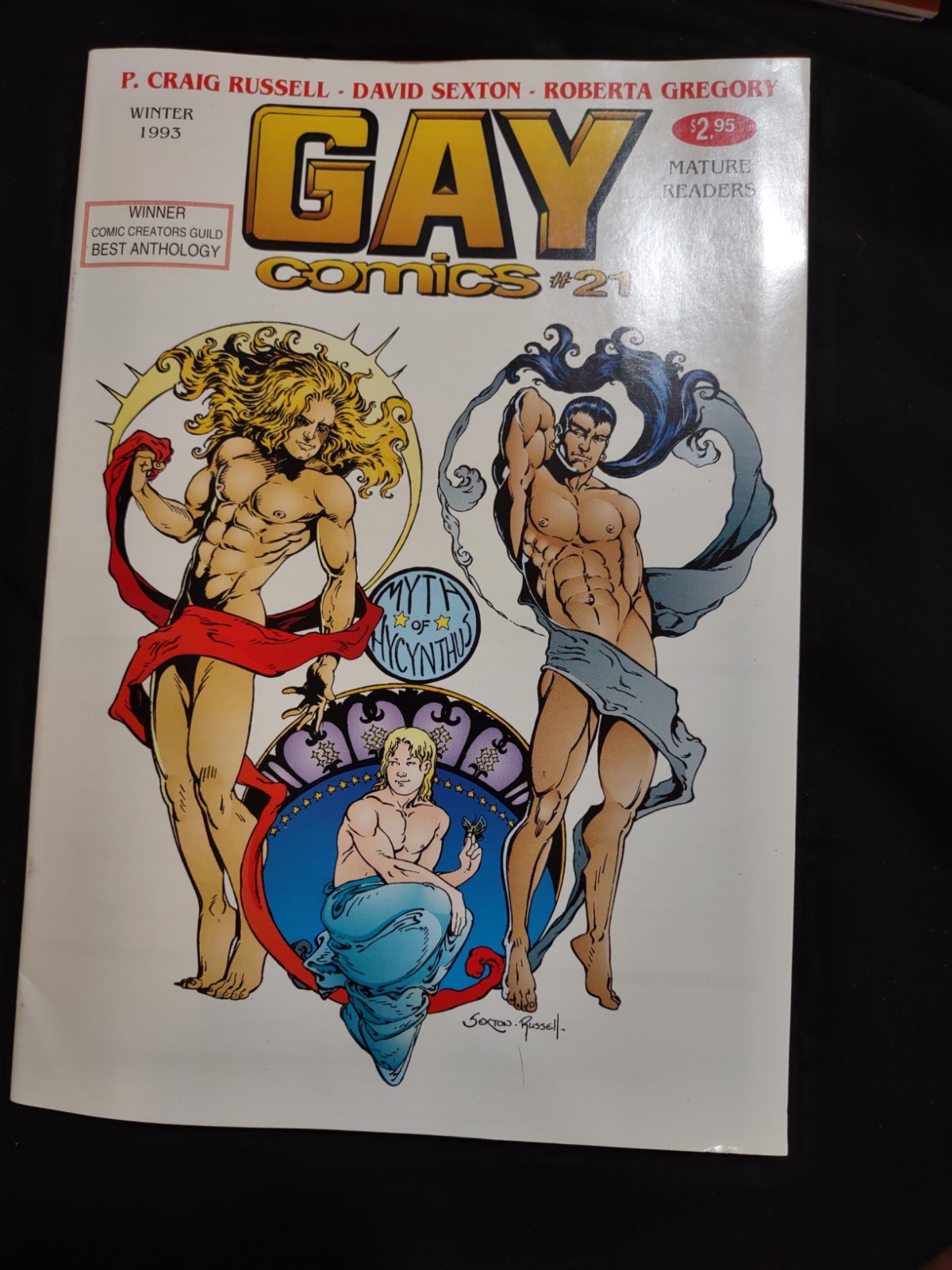 Rare Gay Comix #21, Gay Interest