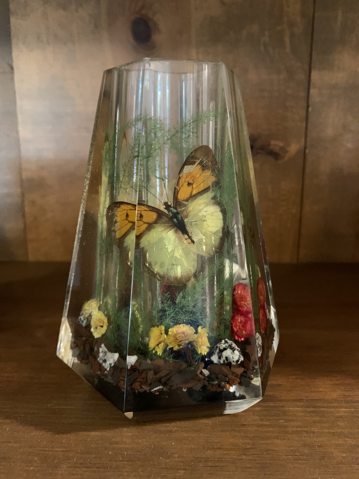 Vase Acrylic Resin Butterfly Flower Terrarium Planter Hexagonal Lucite Vintage
