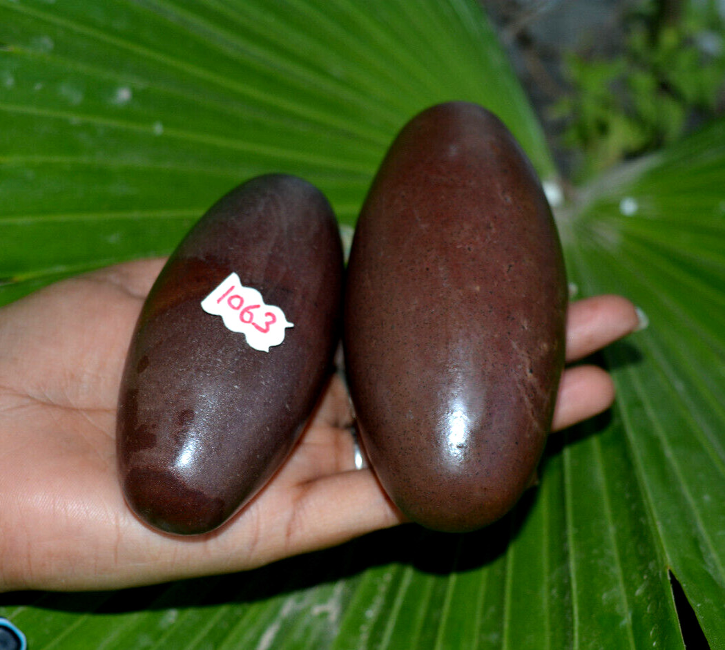 ShivaLingam Stone 3.75\