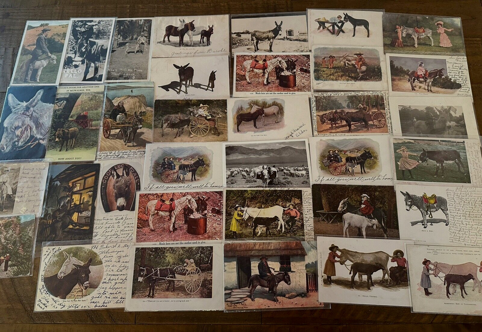 Lot of 36 ~Antique ~1900's Animal Postcards with DONKEYS Mules~ BURROS~h652
