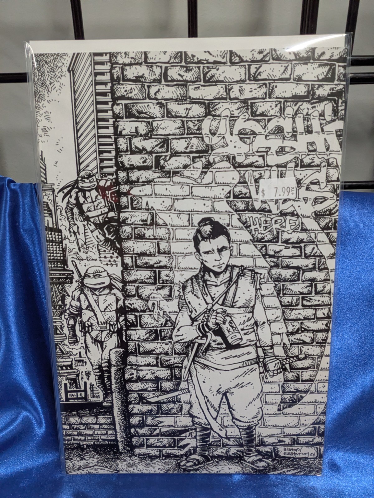 Teenage Mutant Ninja Turtles #18 RI 1:10 Incentive Variant (IDW Publishing 2026)