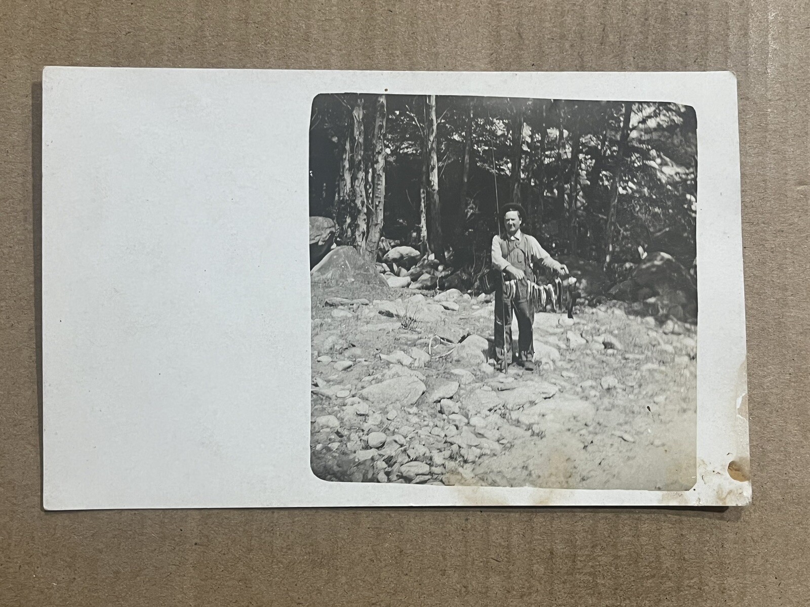 Postcard RPPC Man Fishing Stringer Of Fish Catch Shore Vintage Real Photo