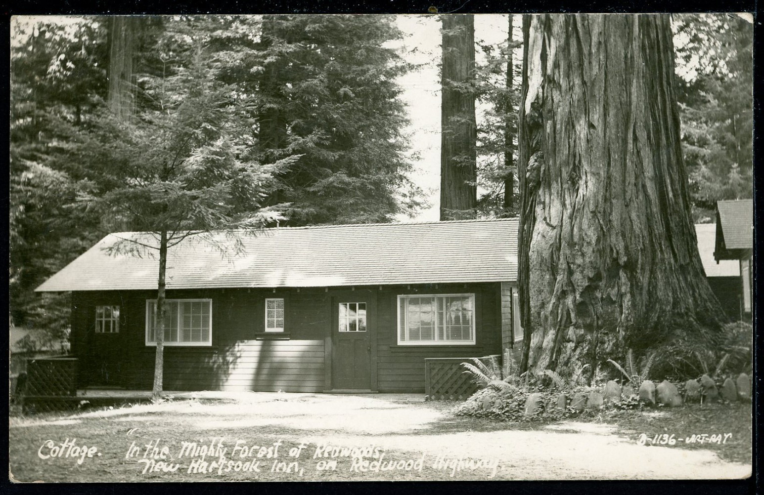RPPC 1930-50 Hartsook Inn Redwood Highway California Vintage Postcard A1465