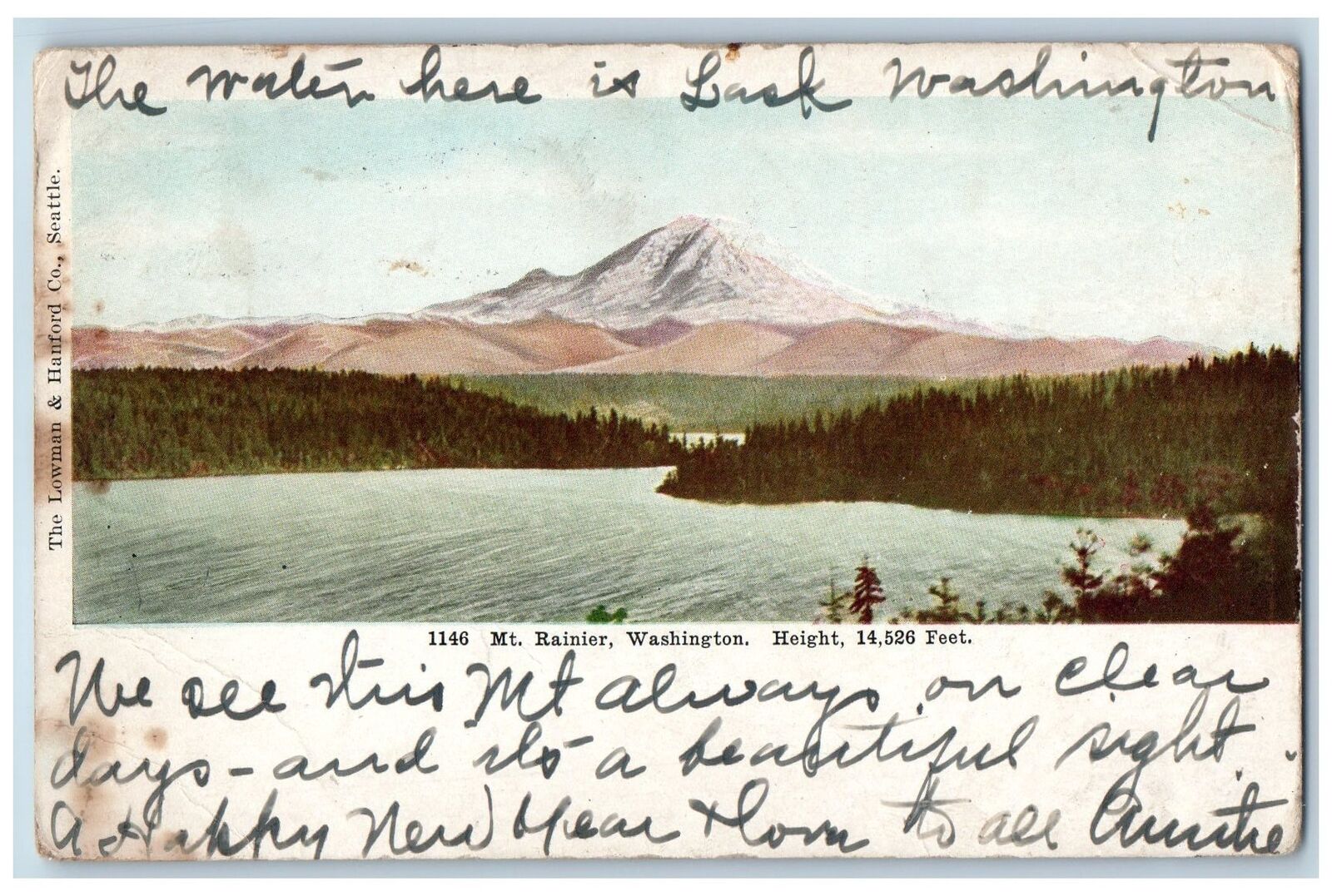 Seattle Washington WA Postcard Mt. Rainier Height 14,526 Scenic View 1908 Trees
