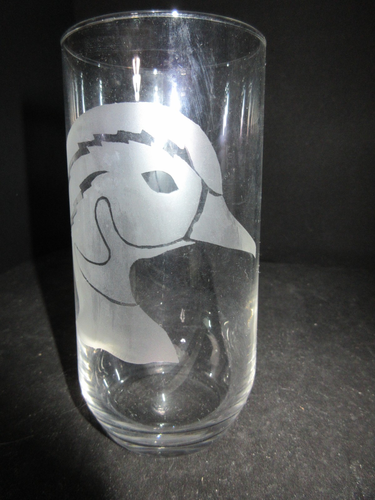 NEW ETCHED WOOD DUCK DRINKING GLASS TUMBLER