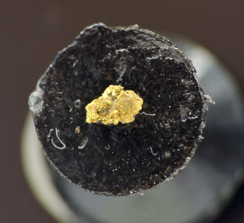 Native Gold Micro Mineral Specimen *Sierra Nevada Mountains, California*