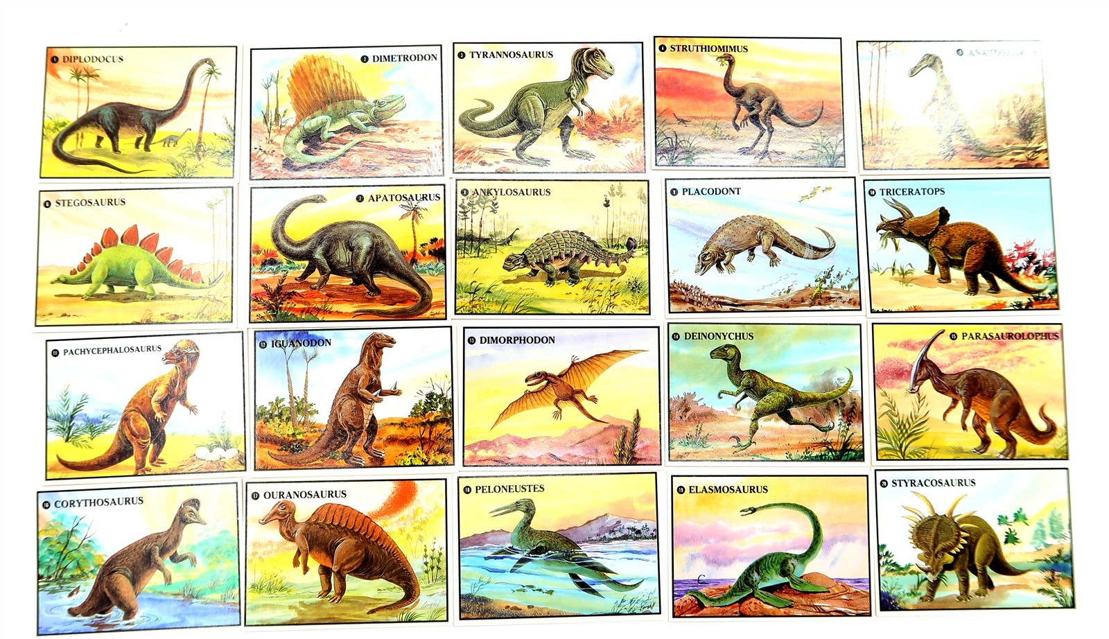 MINT 1987 The Dino-Card Company 20 Piece Trading Card SET COMPLETE SEALED PACK