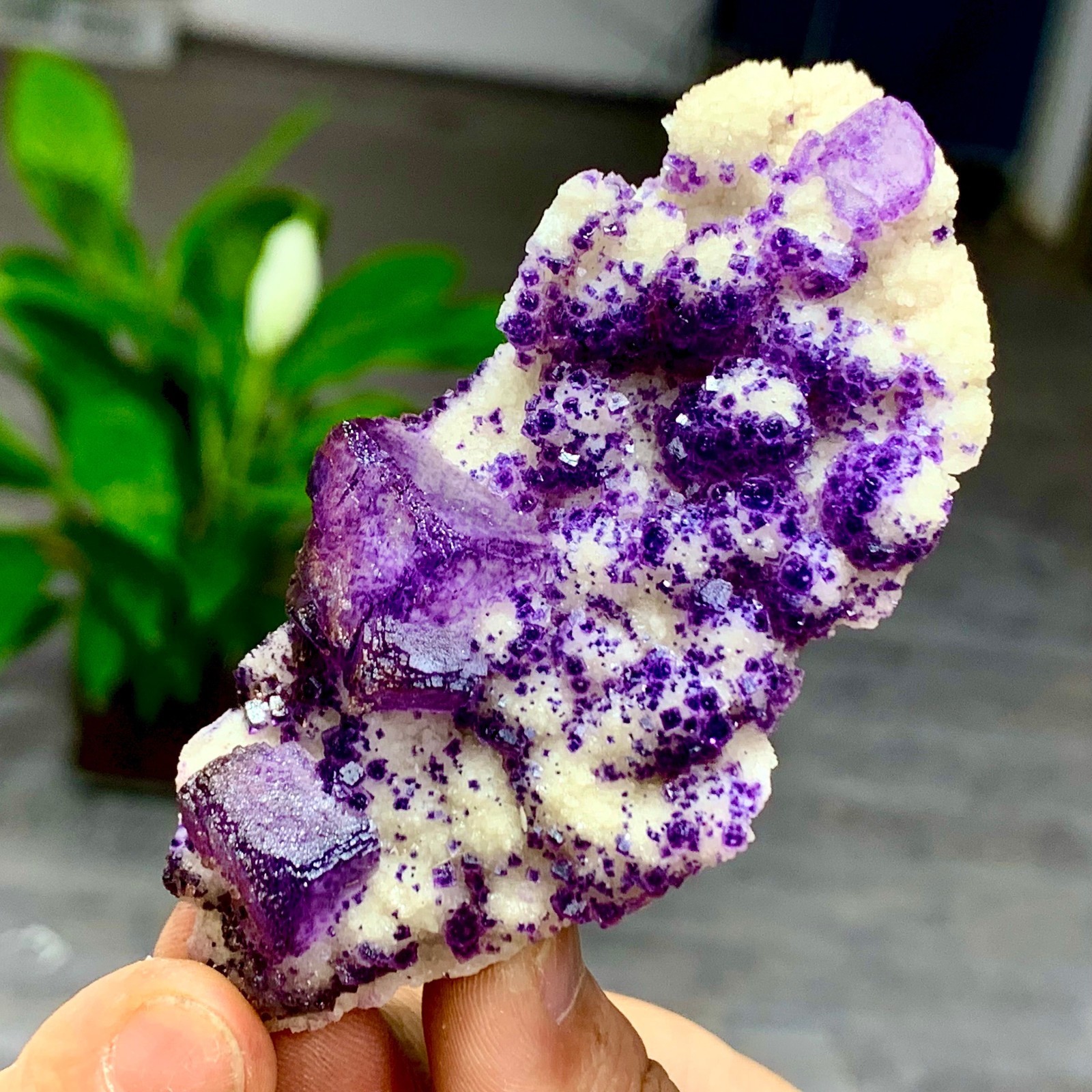 74G Natural beautiful purple window frame cubic fluorite crystal specimen