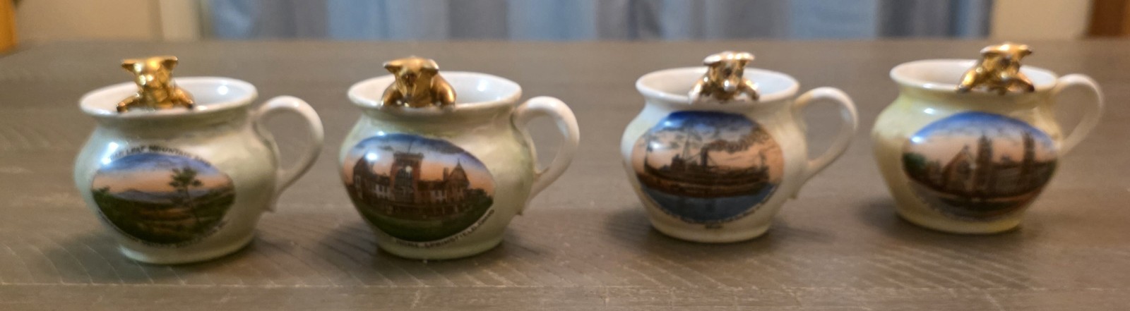 4 Vintage SOUVENIR PORCELAIN Mug w/ Pig  2 ohio pa and new york