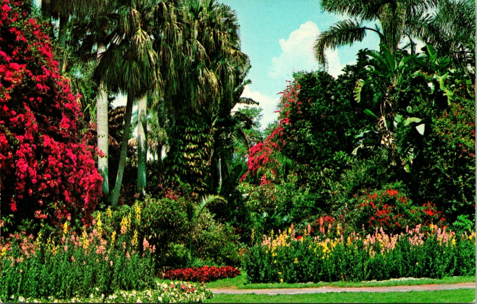 St Petersburg FL Sunken Gardens Floral Tropical Scenery Postcard unused (11769)