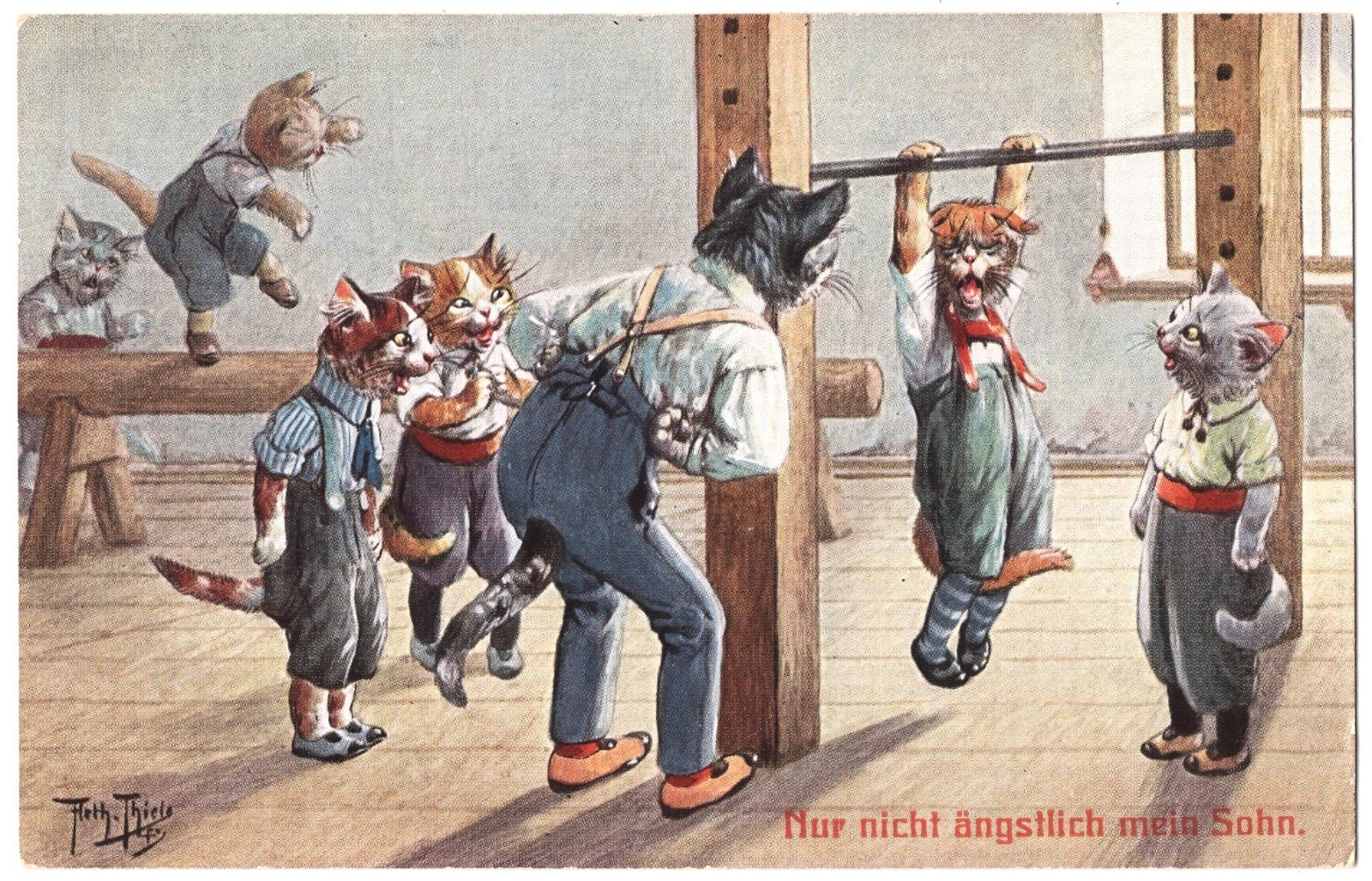 artist Arthur Thiele TSN Cat Cats Students Gym Anthropomorphic antique postcard