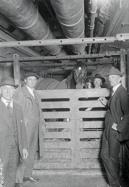 Man O\' War Samuel Riddle\'s great thoroughbred now enrouite Win- 1920 Old Photo