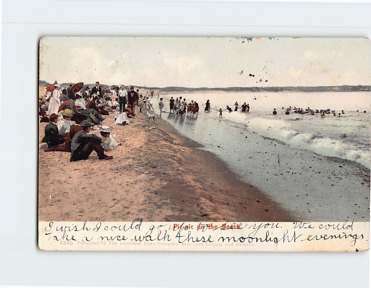 Postcard Picnic on the Beach