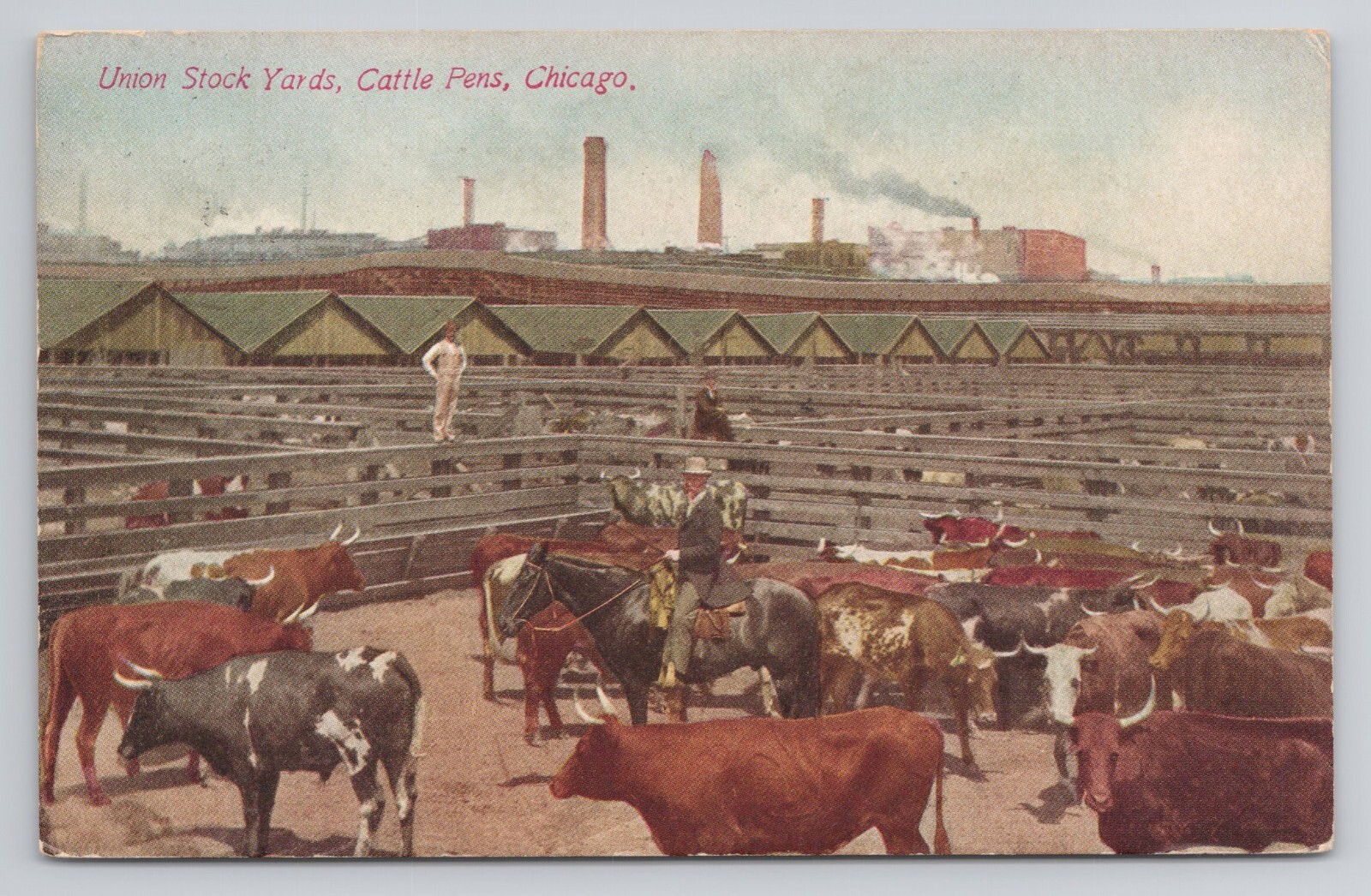 Union Stock Yards Cattle Pens Chicago Illinois c1913 Postcard Union Stock Yards Cattle Pens Chicago Illinois c1913 Postcard